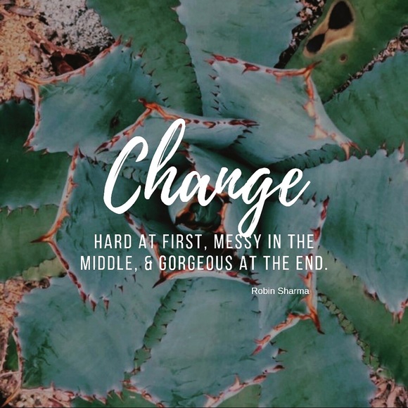 Meet your Posher, Sofia - Picture 6 of 9